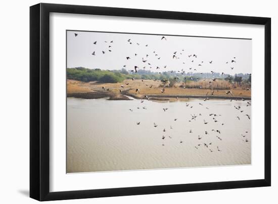 Birds I-Karyn Millet-Framed Photographic Print