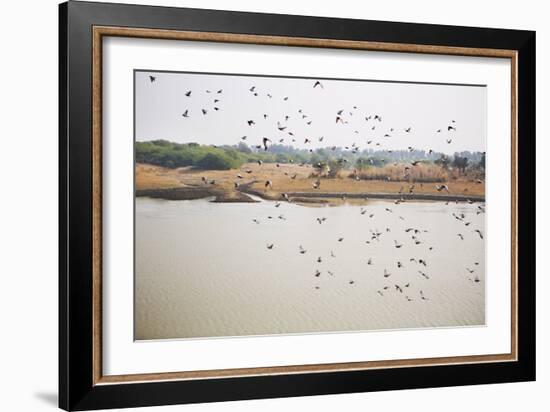 Birds I-Karyn Millet-Framed Photographic Print