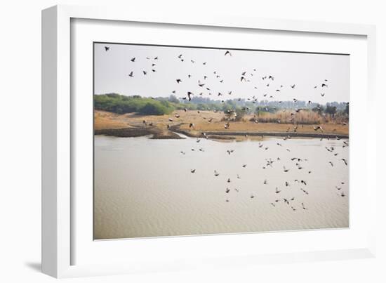 Birds I-Karyn Millet-Framed Photographic Print