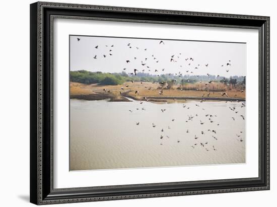 Birds I-Karyn Millet-Framed Photographic Print