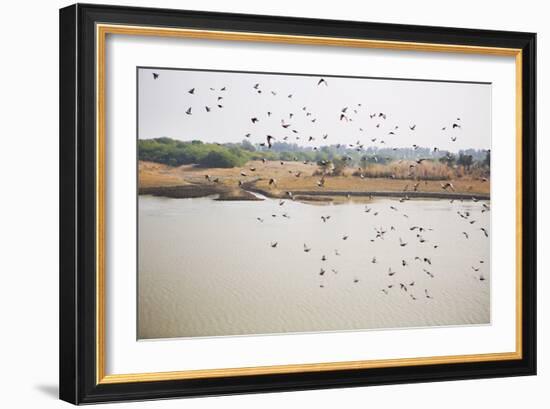 Birds I-Karyn Millet-Framed Photographic Print