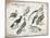Birds I-Gwendolyn Babbitt-Mounted Art Print