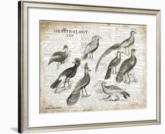 Birds I-Gwendolyn Babbitt-Framed Art Print