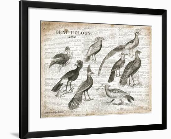 Birds I-Gwendolyn Babbitt-Framed Art Print