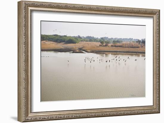 Birds II-Karyn Millet-Framed Photographic Print