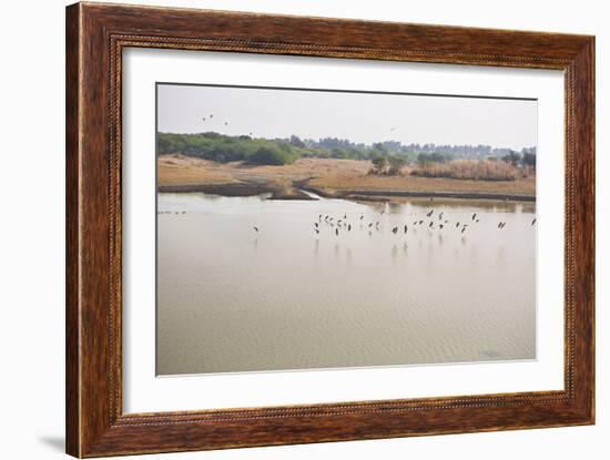 Birds II-Karyn Millet-Framed Photographic Print