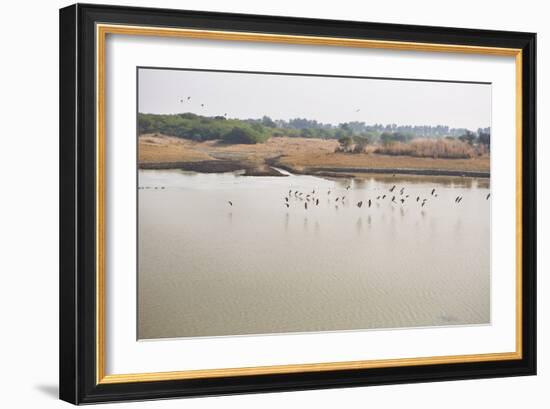 Birds II-Karyn Millet-Framed Photographic Print