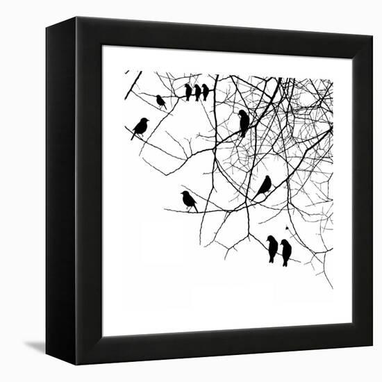 Birds in a Tree-null-Framed Premier Image Canvas