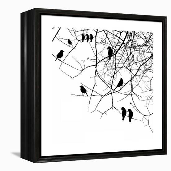 Birds in a Tree-null-Framed Premier Image Canvas