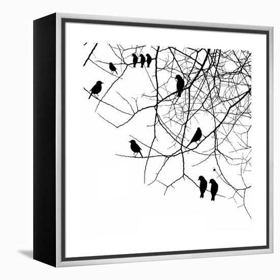 Birds in a Tree-null-Framed Premier Image Canvas