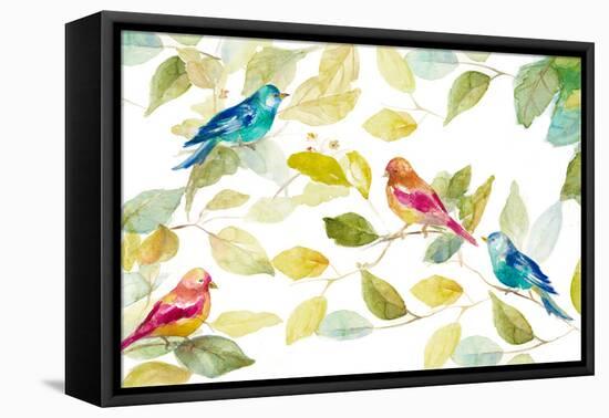 Birds in a Tree-Lanie Loreth-Framed Stretched Canvas