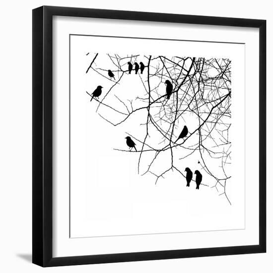 Birds in a Tree-null-Framed Art Print