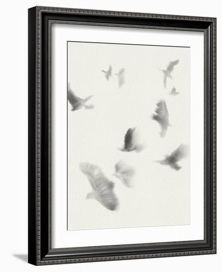 Birds in Flight - Glide-Kristine Hegre-Framed Giclee Print