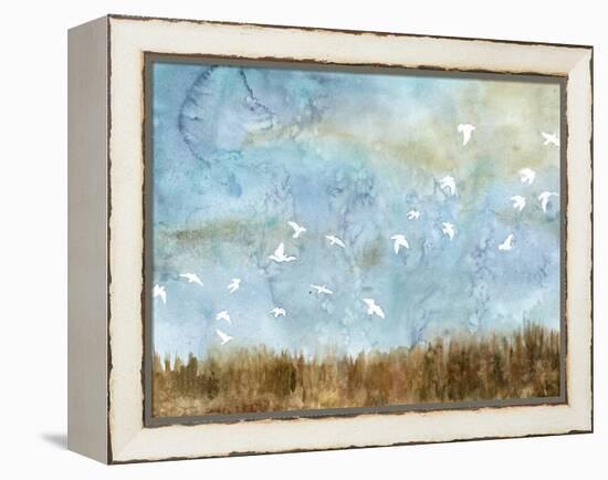 Birds in Flight I-Megan Meagher-Framed Stretched Canvas