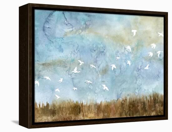 Birds in Flight I-Megan Meagher-Framed Stretched Canvas