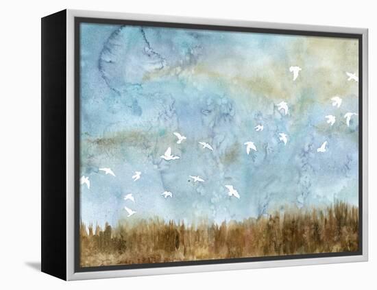 Birds in Flight I-Megan Meagher-Framed Stretched Canvas