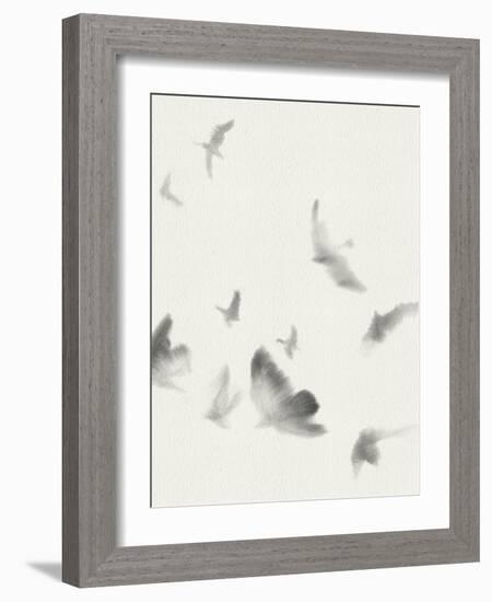 Birds in Flight - Swoop-Kristine Hegre-Framed Giclee Print