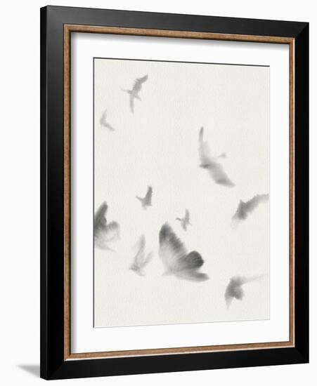 Birds in Flight - Swoop-Kristine Hegre-Framed Giclee Print