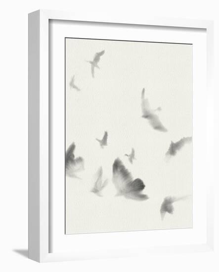 Birds in Flight - Swoop-Kristine Hegre-Framed Giclee Print