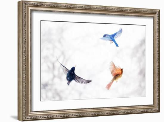 Birds in Flight-Brooke T. Ryan-Framed Art Print