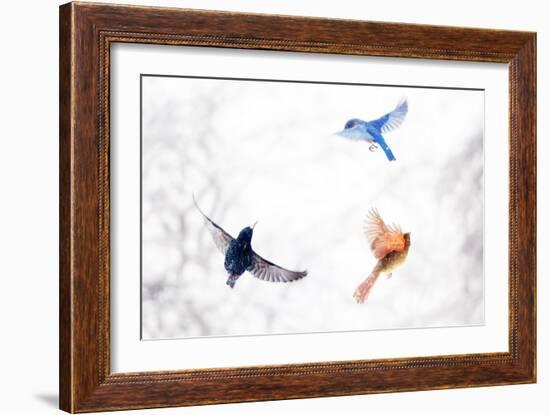 Birds in Flight-Brooke T. Ryan-Framed Art Print