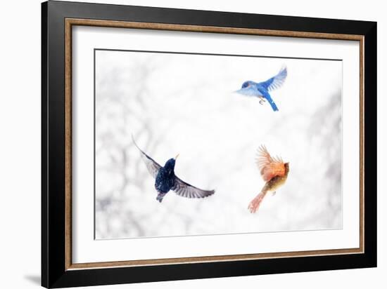 Birds in Flight-Brooke T. Ryan-Framed Art Print