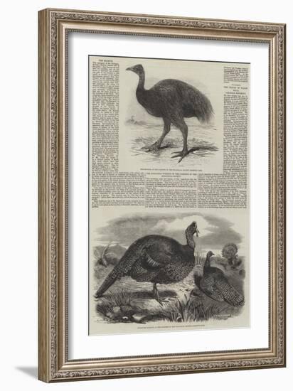 Birds in London Zoo-Harrison William Weir-Framed Giclee Print