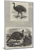 Birds in London Zoo-Harrison William Weir-Mounted Giclee Print