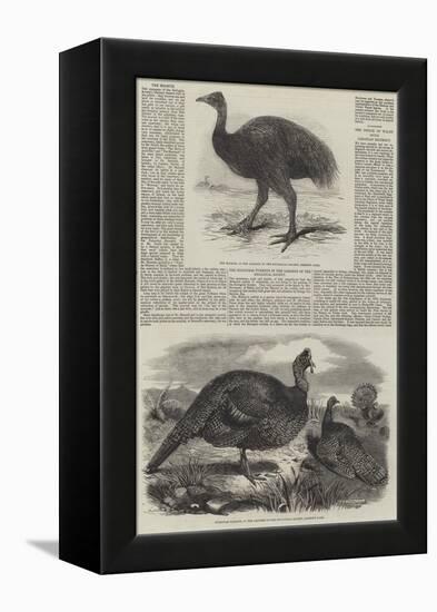 Birds in London Zoo-Harrison William Weir-Framed Premier Image Canvas