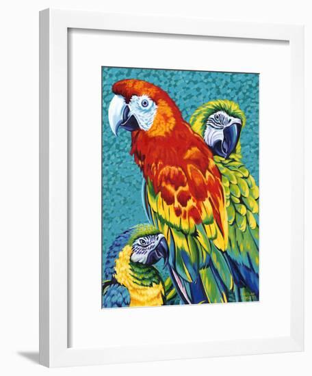 Birds in Paradise III-Carolee Vitaletti-Framed Art Print