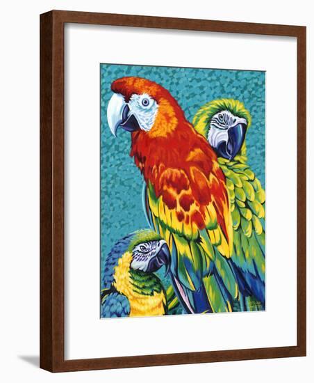 Birds in Paradise III-Carolee Vitaletti-Framed Art Print