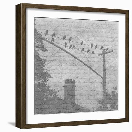 Birds In The Brooklyn Sky-Sheldon Lewis-Framed Photo