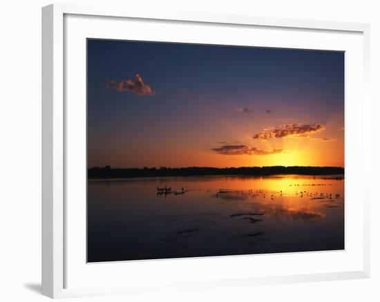 Birds in Water at Sunset, J.N. Ding Darling National Wildlife Refuge, Florida, USA-Adam Jones-Framed Photographic Print