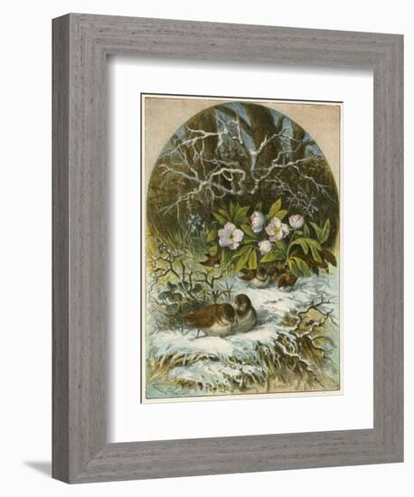 Birds in Winter-English School-Framed Giclee Print