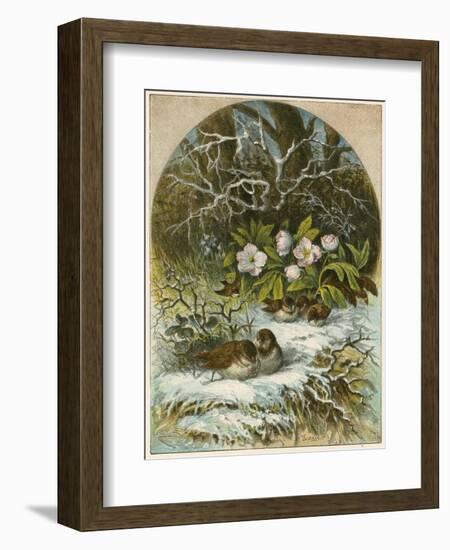 Birds in Winter-English School-Framed Giclee Print