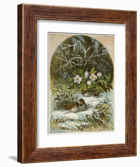 Birds in Winter-English School-Framed Giclee Print