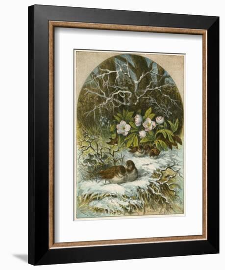 Birds in Winter-English School-Framed Giclee Print