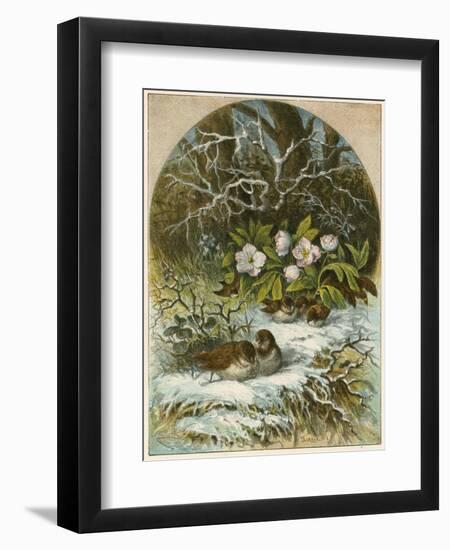 Birds in Winter-English School-Framed Giclee Print