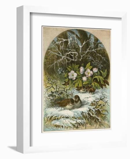 Birds in Winter-English School-Framed Giclee Print