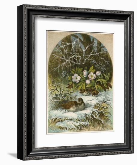 Birds in Winter-English School-Framed Giclee Print