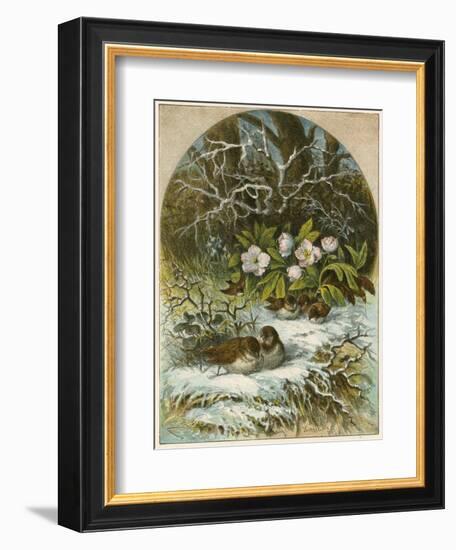 Birds in Winter-English School-Framed Giclee Print