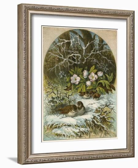 Birds in Winter-English School-Framed Giclee Print