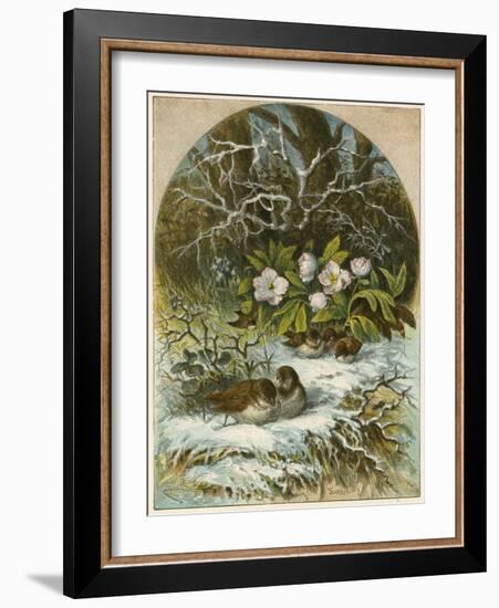 Birds in Winter-English School-Framed Giclee Print