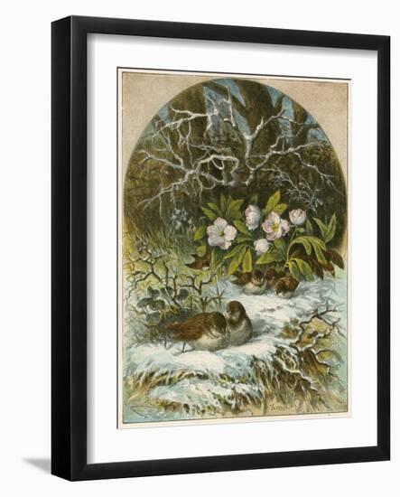 Birds in Winter-English School-Framed Giclee Print