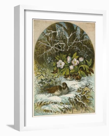 Birds in Winter-English School-Framed Giclee Print