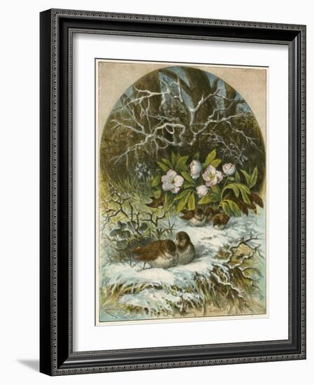 Birds in Winter-English School-Framed Giclee Print