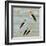 Birds Life - Friendship-Dominique Vari-Framed Art Print