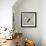 Birds Life - Home Sweet Home-Dominique Vari-Framed Art Print displayed on a wall