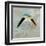 Birds Life - Love Nest-Dominique Vari-Framed Art Print