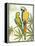 Birds of a Feather III Crop-Avery Tillmon-Framed Stretched Canvas